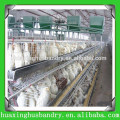 Poultry feeding cage broiler equipment